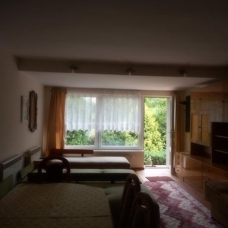 Przy Lesie Appartement Nowe Buitenkant foto