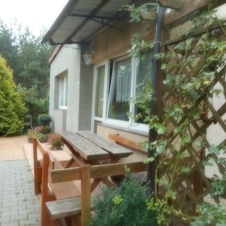 Przy Lesie Appartement Nowe Buitenkant foto