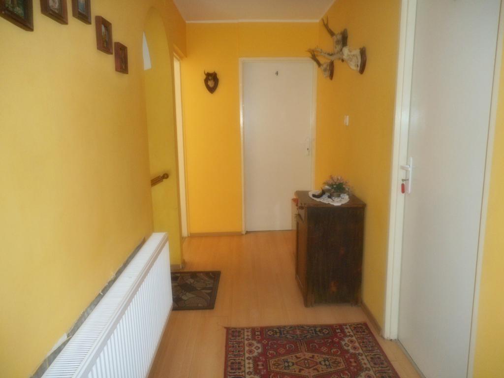 Przy Lesie Appartement Nowe Buitenkant foto