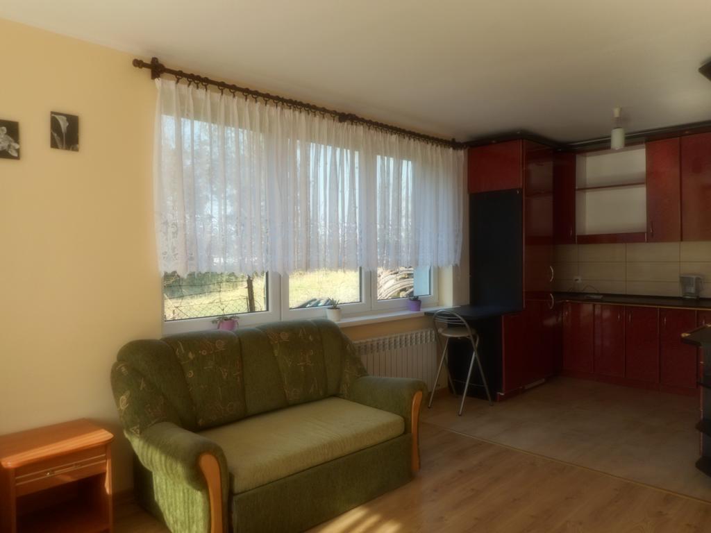 Przy Lesie Appartement Nowe Buitenkant foto
